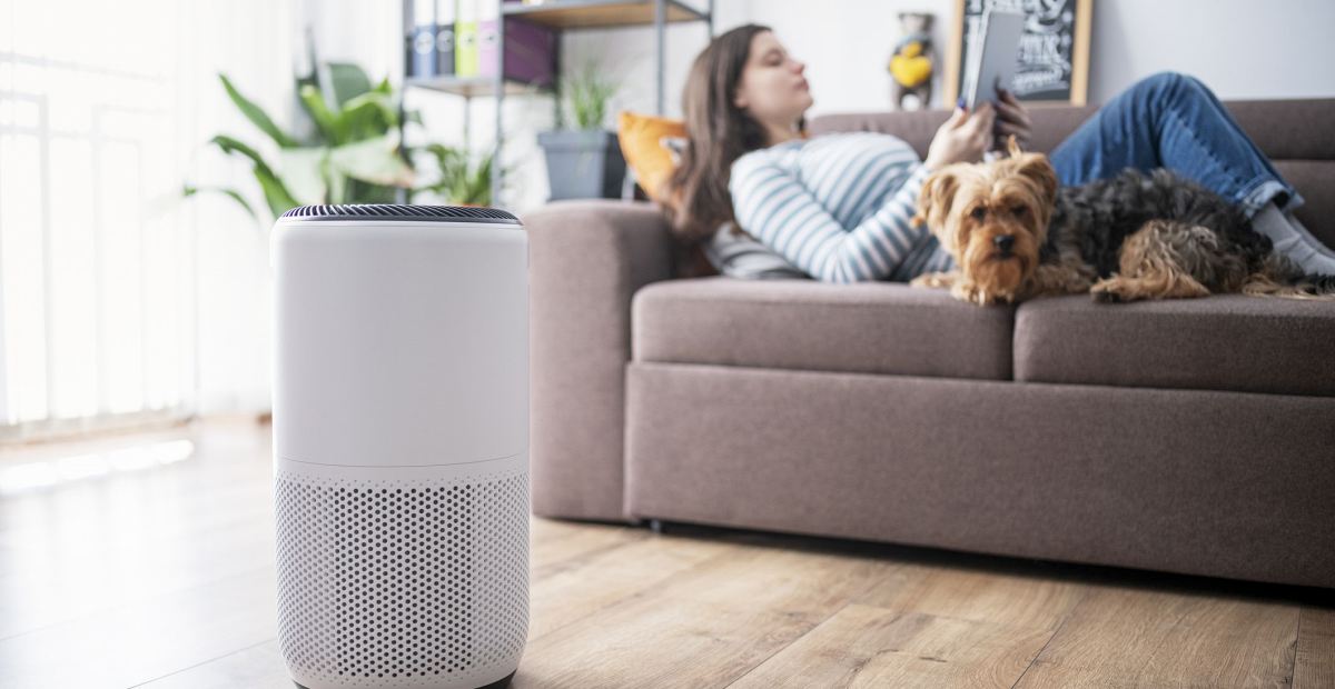 Air Purifier Adalah: Solusi Udara Bersih dan Sehat